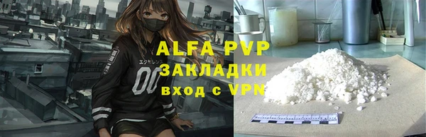 стаф Алексин