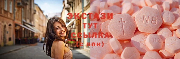 стаф Алексин