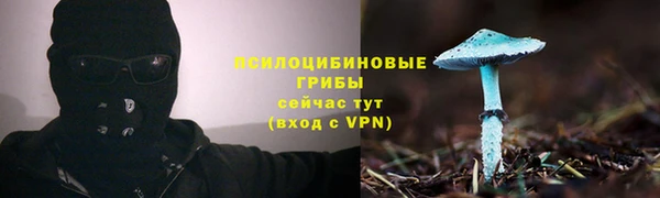стаф Алексеевка