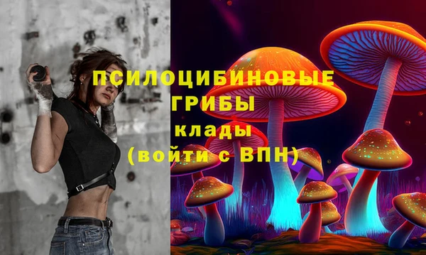 стаф Алексеевка