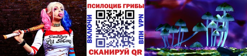 Галлюциногенные грибы Psilocybe  Кола 